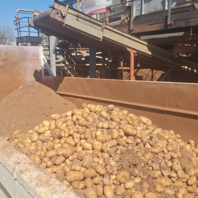 Waste collection logistics at McCain Foods' Gauteng facility managed by Oricol Environmental Services